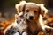 Playful pair a kitty and puppy enjoy shared moments, embodying delightful camaraderie