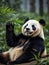 Playful Panda in the Wild.AI Generated