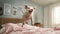 Playful Pig Jumping On Bed Sheets