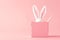 Playful Pink Easter Bunny Ears Peeking from Soft Pink Gift Box on pastel isolated background. Spring post card. Copy space.