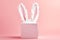 Playful Pink Easter Bunny Ears Peeking from Soft Pink Gift Box on pastel isolated background. Spring post card. Copy space.