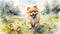 Playful Pomeranian Enjoying Fetch In A Vibrant Meadow