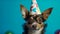 Playful pooch embracing festivities, donning a party hat against a vibrant blue background