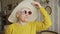 playful and pretty senior Caucasian woman with pink sunglasses and a hat smiling happily medium closeup indoor seniority