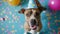 Playful Pup, A Party-Hat-Clad Canine Celebrates Amidst a Colorful Balloon Delight