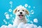 Playful Puppy Enjoying a Bubble Bath - Generative AI