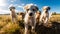 Playful puppy and friends enjoy sunny meadow generated by AI