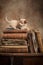 Playful puppy on old books
