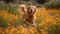 Playful puppy running through meadow, pure joy generated by AI