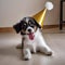 A playful puppy wearing a party hat and chasing bubbles3