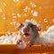 Playful Rat In Bubbles: Orange Background And Soft-focus Technique