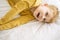 A playful red-haired boy finds comfort and joy on a pure white bed, a portrait of youthful energy