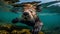 Playful Sea Otter\\\'s Belly-Back Float in the Pacific