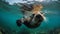 Playful Sea Otter\\\'s Belly-Back Float in the Pacific