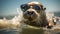 Playful seal leaps onto the beach, sporting stylish sunglasses, a splash of coastal coolness, Ai Generated