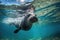 playful seal splashing around in crystal-blue waters