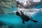 playful seal splashing around in crystal-blue waters