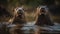 Playful seal swimming in pond, looking cute generated by AI