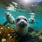 Playful Seals: Tumbling in the Coastal Waters