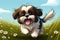 Playful Shih Tzu Frolicking in a Meadow. AI