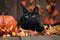 A playful shot of a mischievous black cat surrounded by Halloween decorations