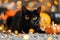 A playful shot of a mischievous black cat surrounded by Halloween decorations