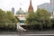 Playful single seagull posing by the river in the CBD inner city Melbourne with city buildings and Flinder`s street station in th