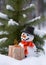 Playful Snowman in Winter Wonderland: Delightful Photo with Humorous Grin, Colorful Accessories, and Beautifully Wrapped Gift Box