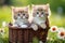 Playful Sweet Cats Expressing Curiosity. AI Generative