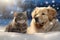 Playful winter pets enjoying the snow featuring