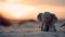 Playful young elephant enjoys summer heat on sandy dune background generated by AI