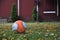 Playground with ball, swing and fall leaves