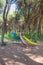 Playground with colored slide in a forest