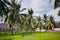 Playground - football field among palm trees in the tropics