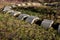 Playground obstacle course. jump over snake-shaped concrete arches. with shape in concrete gutters laid upside down in a row in a