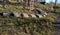 Playground obstacle course. jump over snake-shaped concrete arches. with shape in concrete gutters laid upside down in a row in a