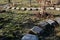 Playground obstacle course. jump over snake-shaped concrete arches. with shape in concrete gutters laid upside down in a row in a