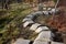 Playground obstacle course. jump over snake-shaped concrete arches. with shape in concrete gutters laid upside down in a row in a