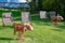 Playground with wooden rocking cows in German Alps