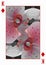 Playing Card Back Design with pink white orchid pattern