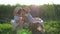 Playing children in open air eat apples sitting in a wheelbarrow on background of sunset