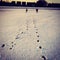 Playing children in the snow on the field