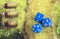 Playing dungeons and dragons, set of blue dices for rpg, board games