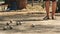 Playing Petanque in the Park - Metal Balls and Orange Wooden Ball on Rock Yard with a Man Standing in the Sun