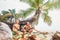 Playing in Robinzones: father and son built a hut from palm tree