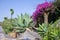 Plaza Glorieta at La Palma, Canary Islands