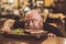 Pleasant adult guy having dinner in pub