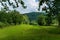 A pleasant lawn with soft lush grass with trees growing around it and a beautiful view of the green forest growing on
