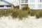 Please Keep Off Dunes Sign and Beach Houses