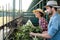 pleased multiethnic farmers looking at sheep